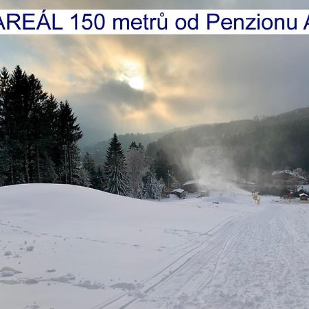 Penzion Alfa Železná Ruda Eksteriør billede