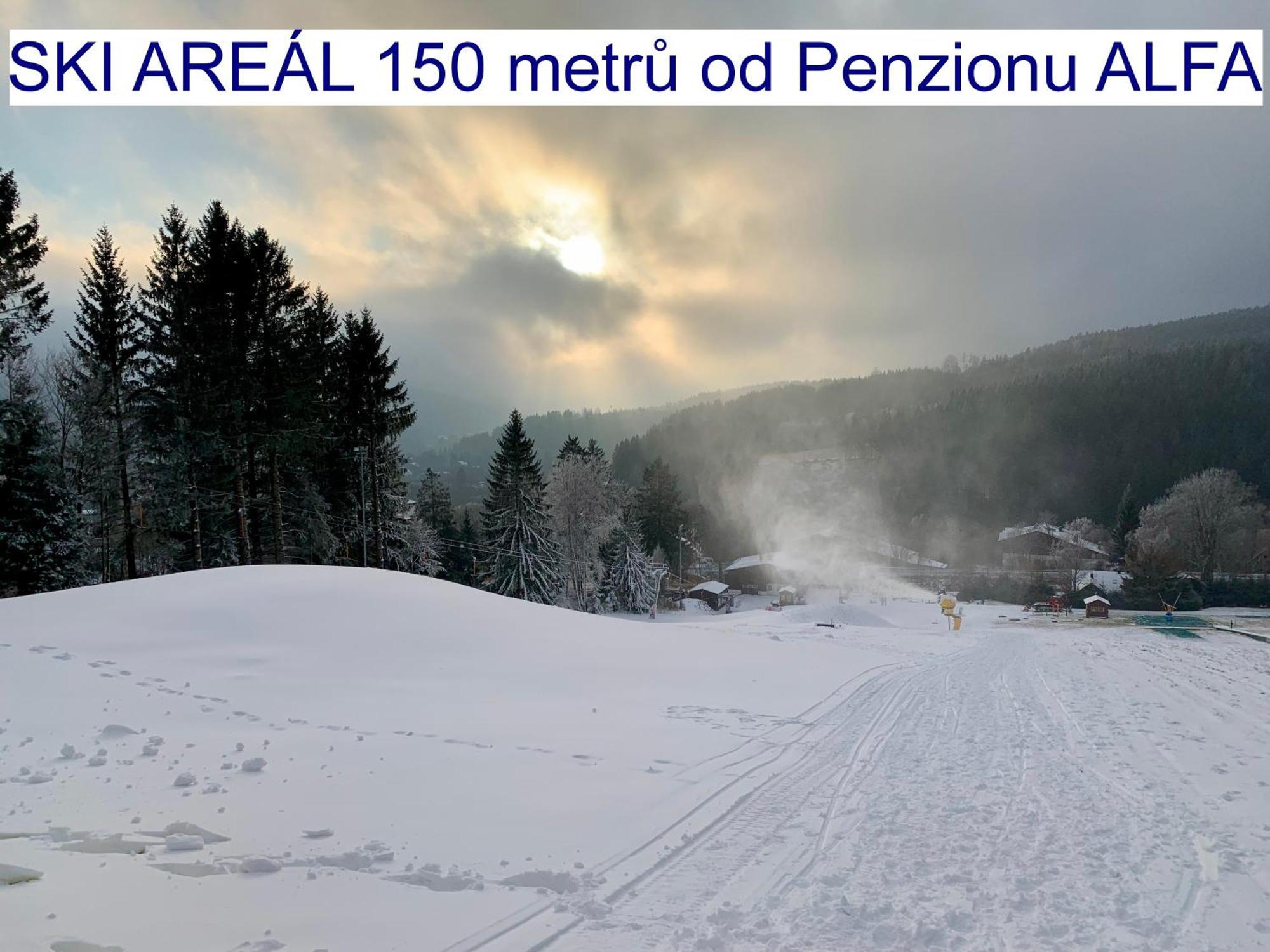 Penzion Alfa Železná Ruda Eksteriør billede